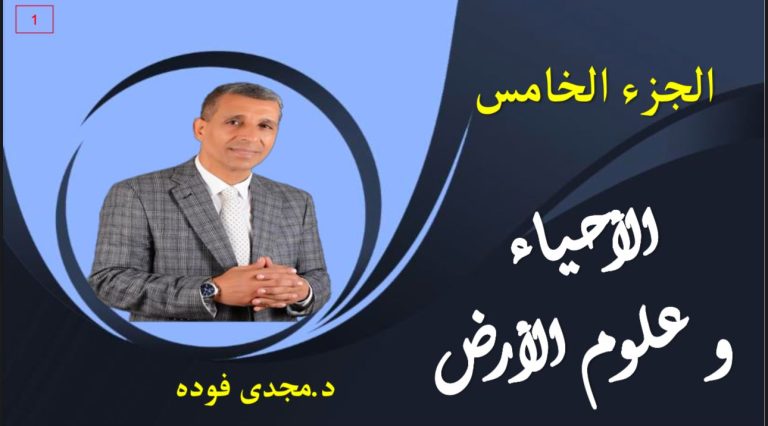 WhatsApp Image 2025-01-01 at 09.58