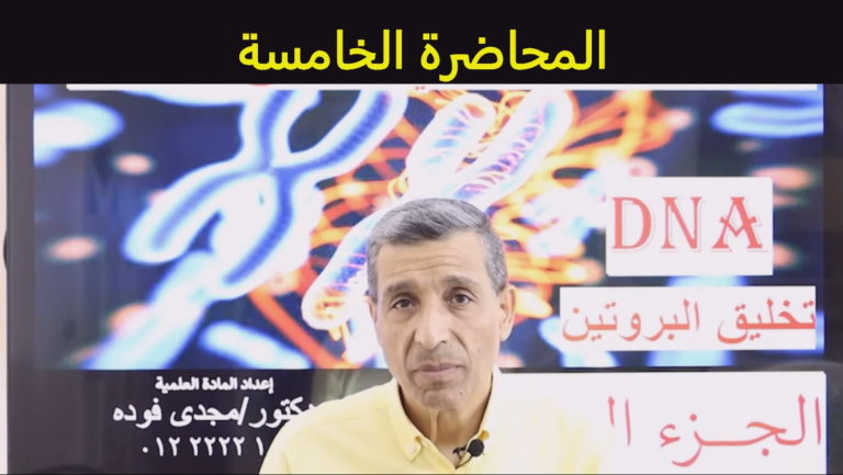 المحاضرة الخامسة في DNA